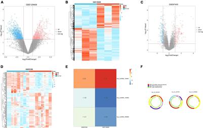 Integrated Analysis of circRNA-miRNA-mRNA-Mediated Network and Its Potential Function in Atrial Fibrillation